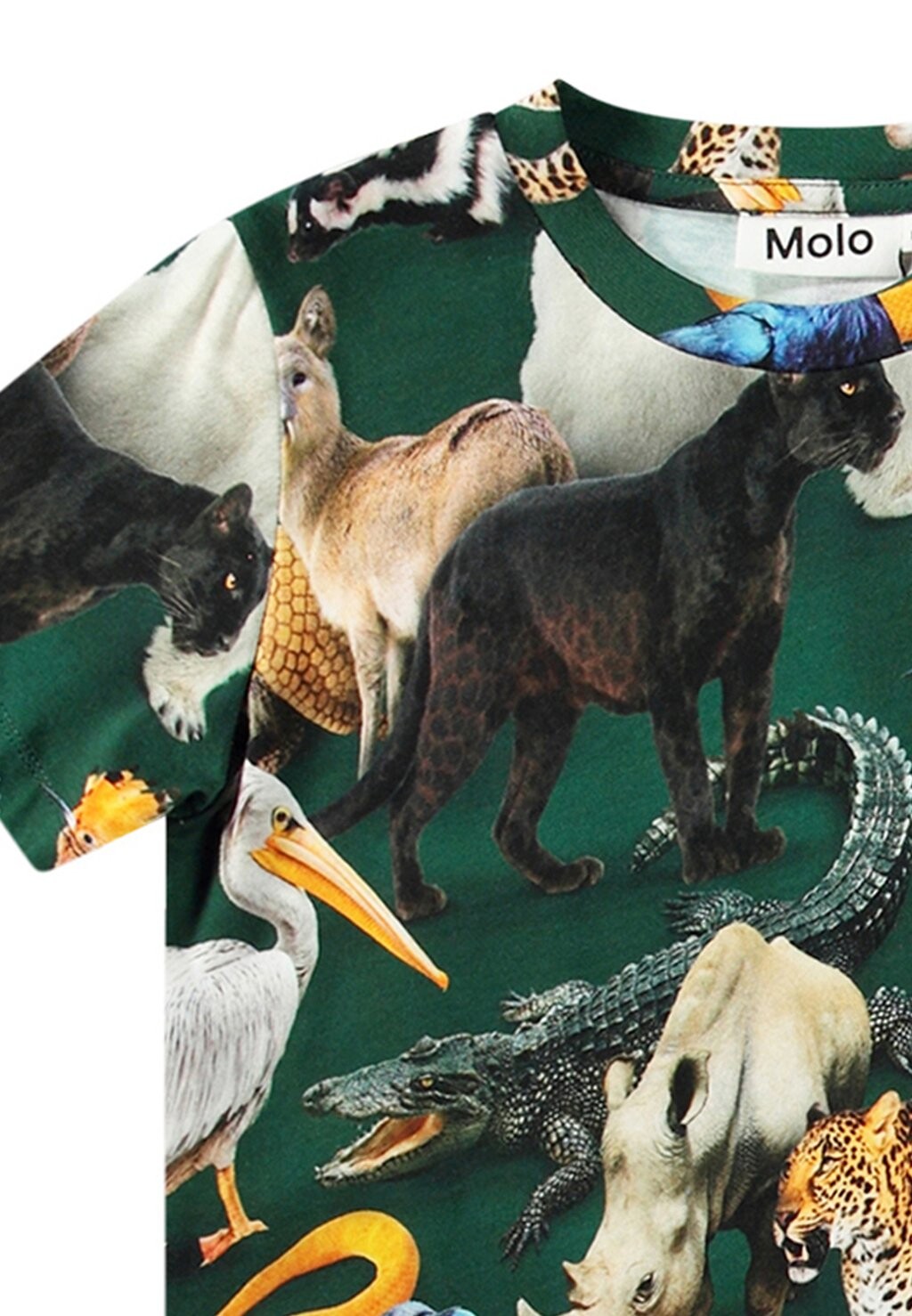 

Футболка RALPHIE SHORT SLEEVES Molo, зеленый