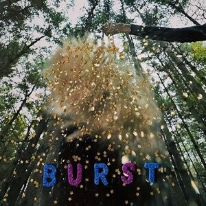 

Виниловая пластинка Snarls - Burst
