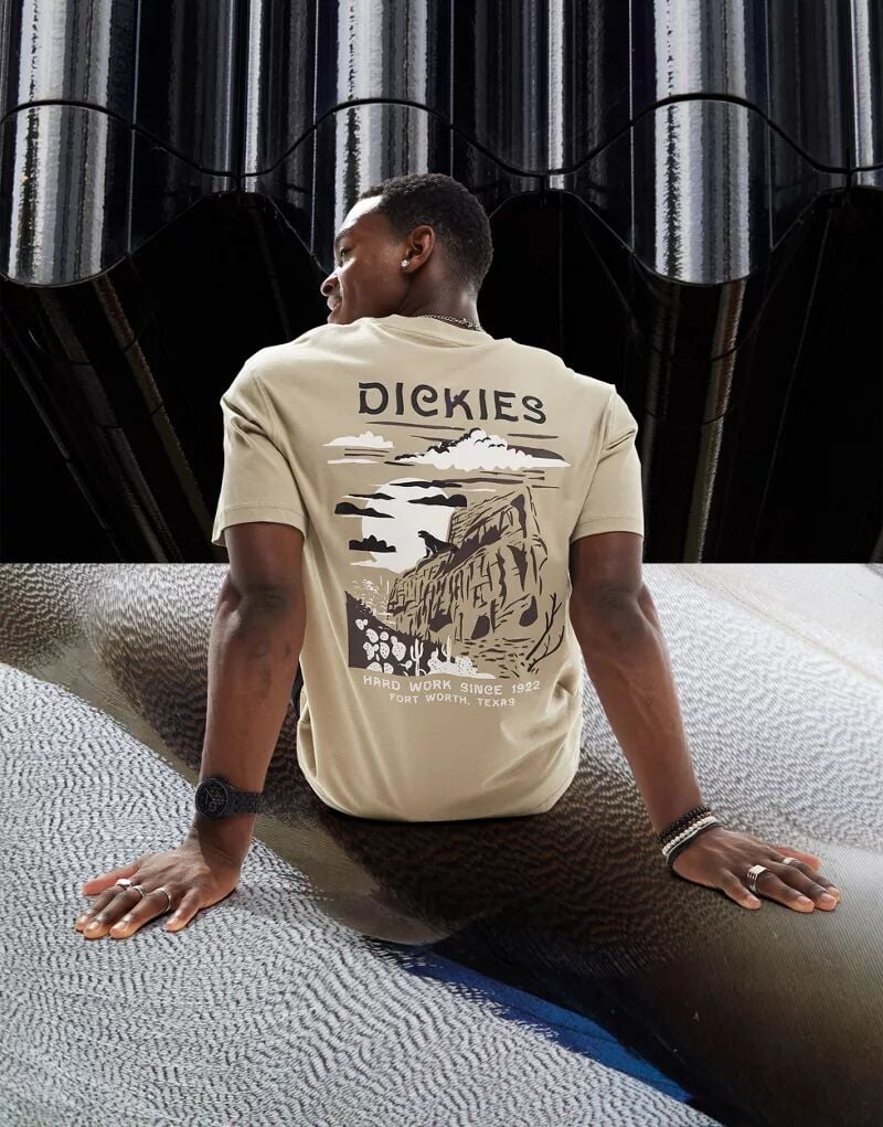 

Песочная футболка унисекс Dickies с горным принтом Eagle Point на спине, эксклюзивно для ASOS