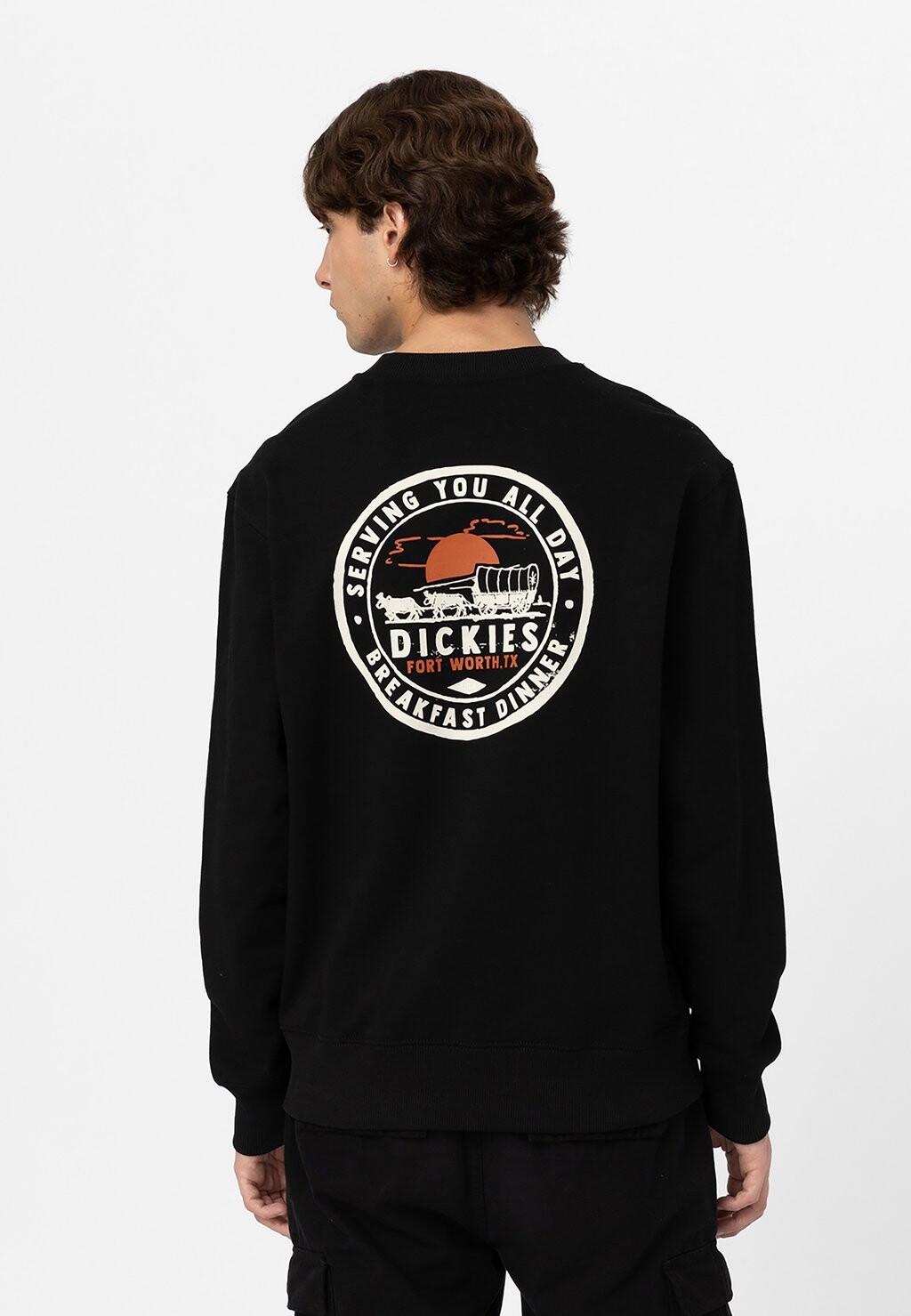 

Толстовка Dickies