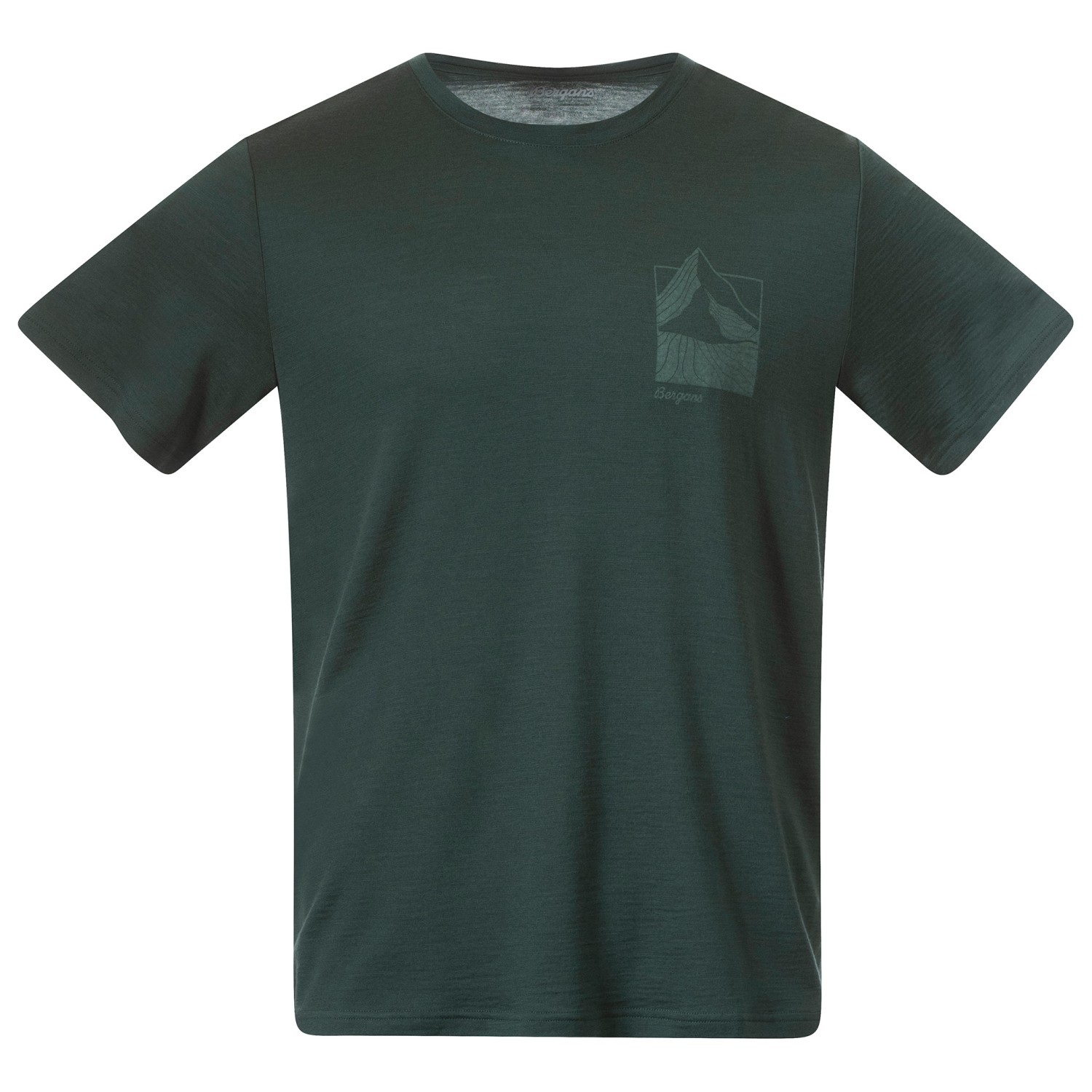 Рубашка из мериноса Bergans Rabot Mount Wool Tee, цвет Duke Green