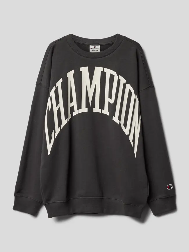 

Толстовка с принтом этикетки, модель "Рочестер" CHAMPION, графит