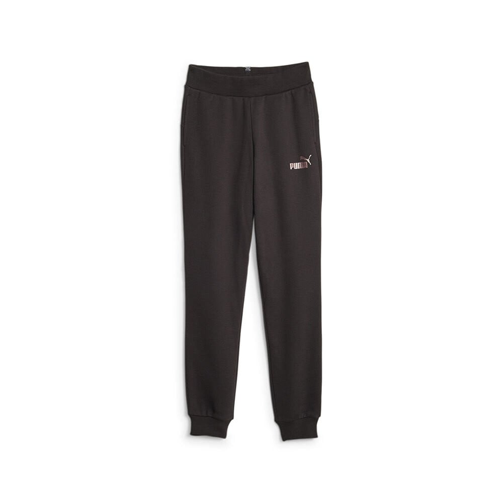 

Спортивные брюки Puma ESS+ Sweats FL cl G, черный