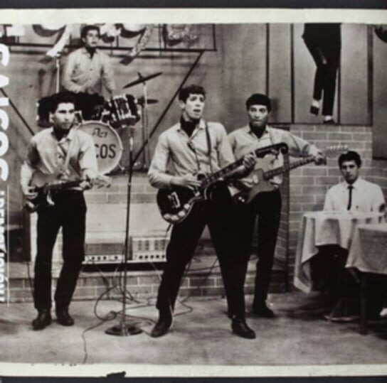 

Виниловая пластинка Los Saicos - Demolicion! The Complete Recordings