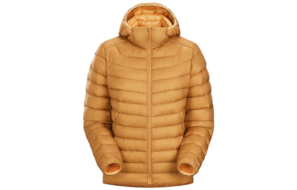

Женская куртка Arcteryx, цвет Retreat