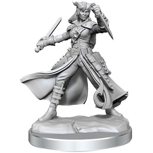 

Миниатюра WizKids/NECA D&D Frameworks: W1 Female Tiefling Rogue