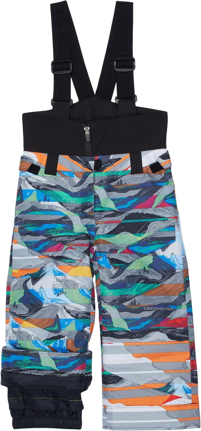 

Брюки Obermeyer Warp Pants, цвет Paintball