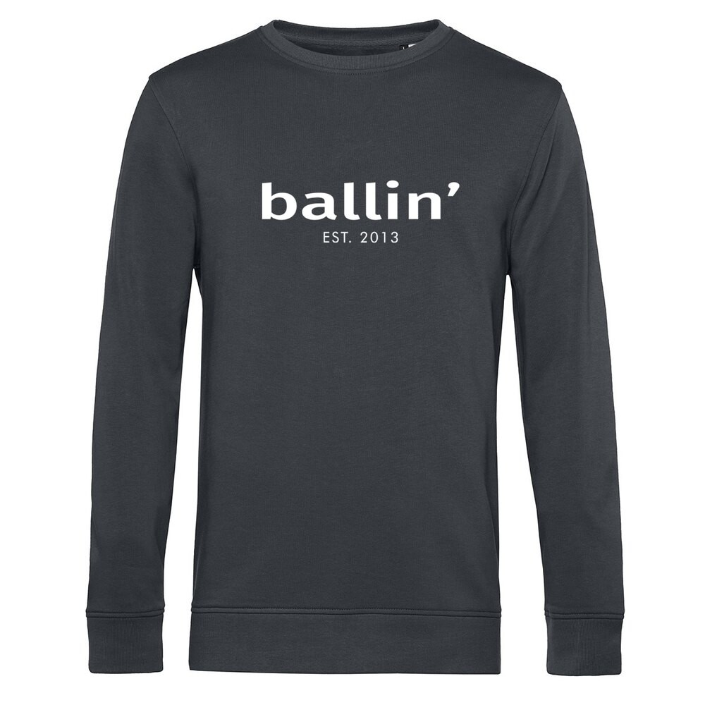 

Толстовка Ballin Basic, серый