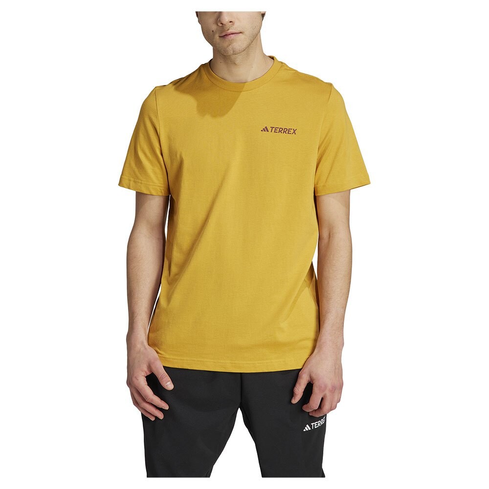 

Футболка adidas Terrex Graphic Mtn 2.0, желтый