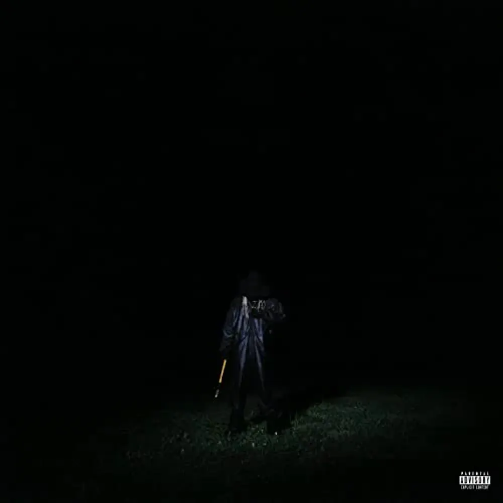 

Виниловая пластинка LP If Looks Could Kill [Purple Vinyl] [Explicit] - Destroy Lonely
