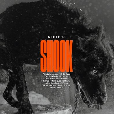 Виниловая пластинка Algiers - Shook (Limited Edition)