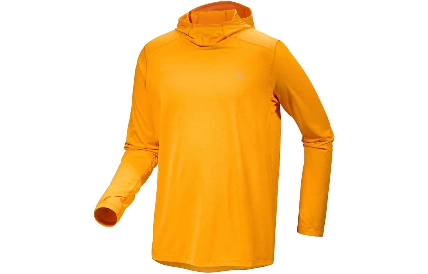 

Свитшот мужской Cormac Series Arcteryx, светло-голубой