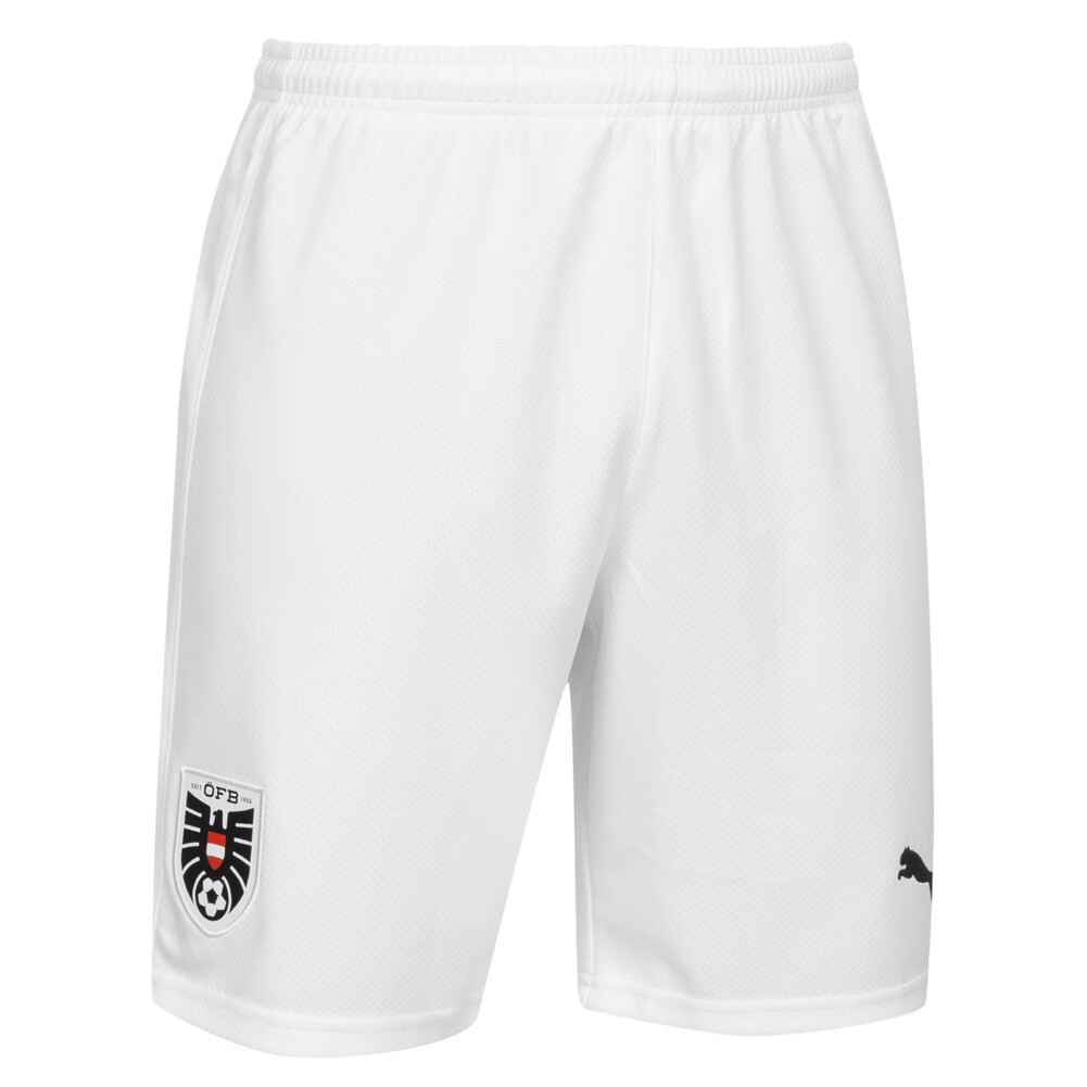 

Мужские шорты Austria PUMA Home