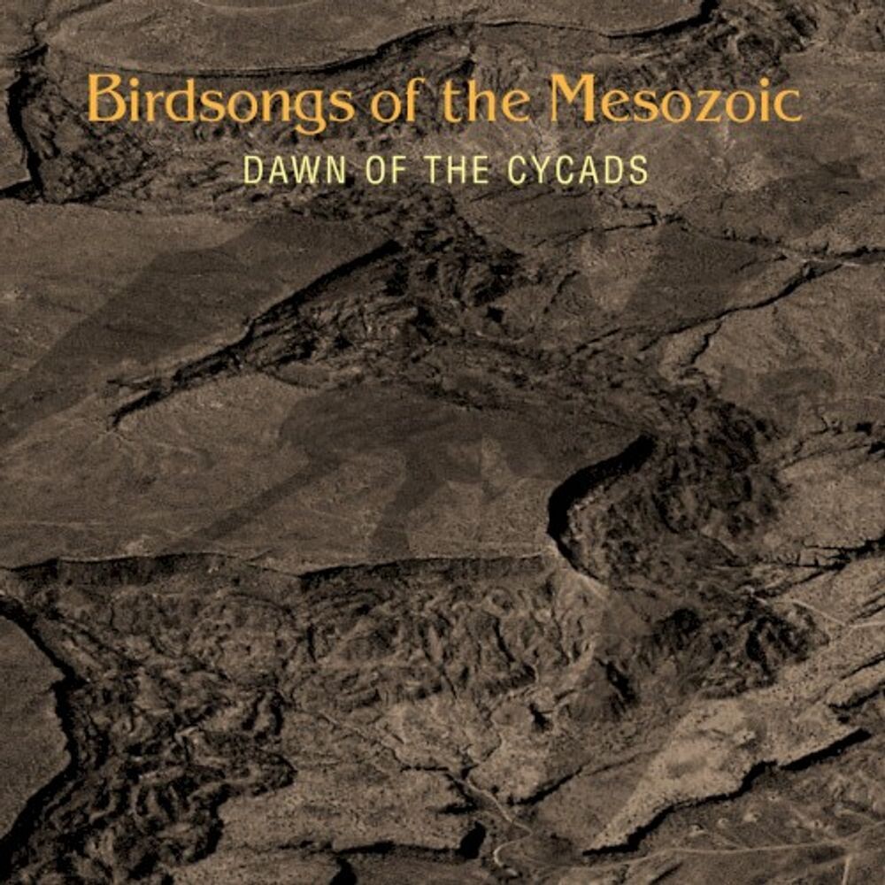

Диск CD Dawn Of The Cycads - Birdsongs Of The Mesozoic