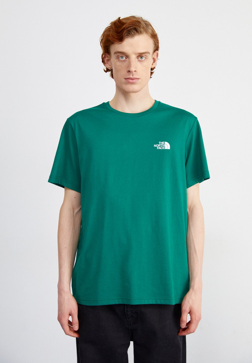 

Футболка с принтом SIMPLE DOME TEE The North Face, цвет green