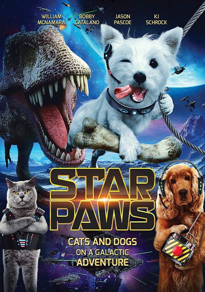 

Диск DVD Star Paws