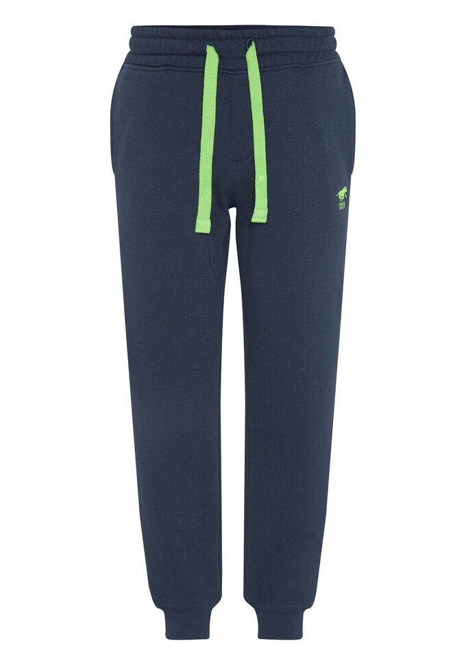 

Спортивные штаны Polo Sylt, синий