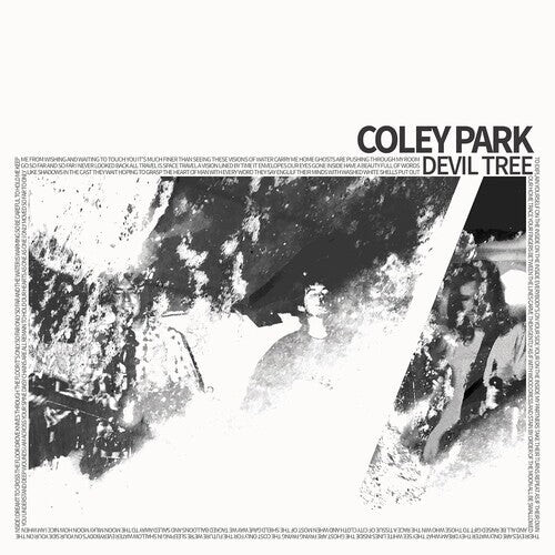 

Виниловая пластинка Coley Park: Devil Tree