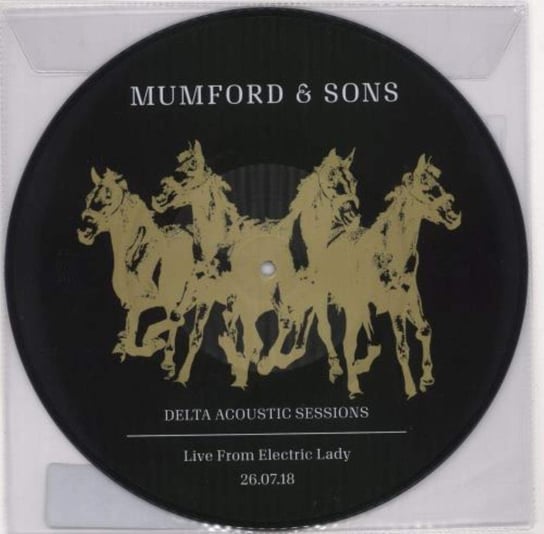 Виниловая пластинка Mumford And Sons - Delta Acoustic am1000714 mumford
