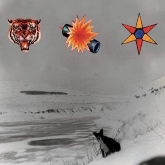 

Виниловая пластинка The Beta Band - The Three Ep's