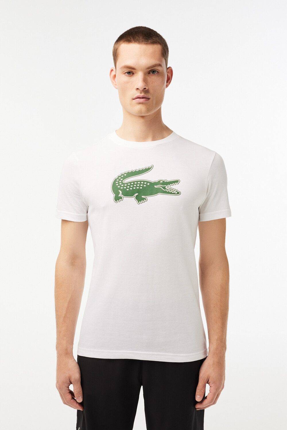 

Бело-зеленая-737 мужская футболка Lacoste, белый, Зеленый