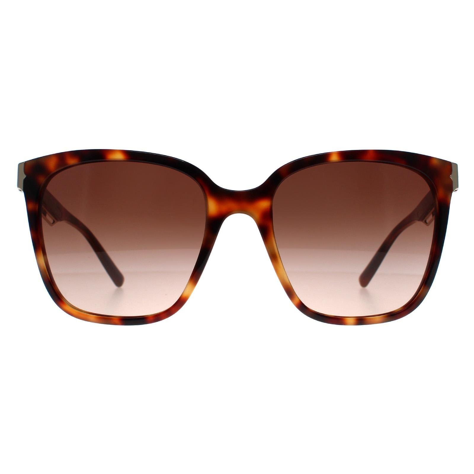 Квадратный Гавана Коричневый Градиент BV8245 Bvlgari, коричневый солнцезащитные очки квадратные оправа пластик черепаховый