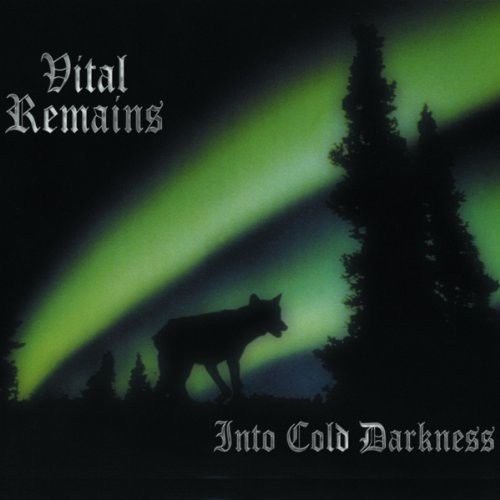 Виниловая пластинка Vital Remains - Into Cold Darkness