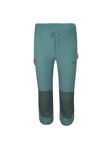

Спортивные шорты Trollkids 3/4 Trekking Hose Hammerfest, цвет Gletschergrün
