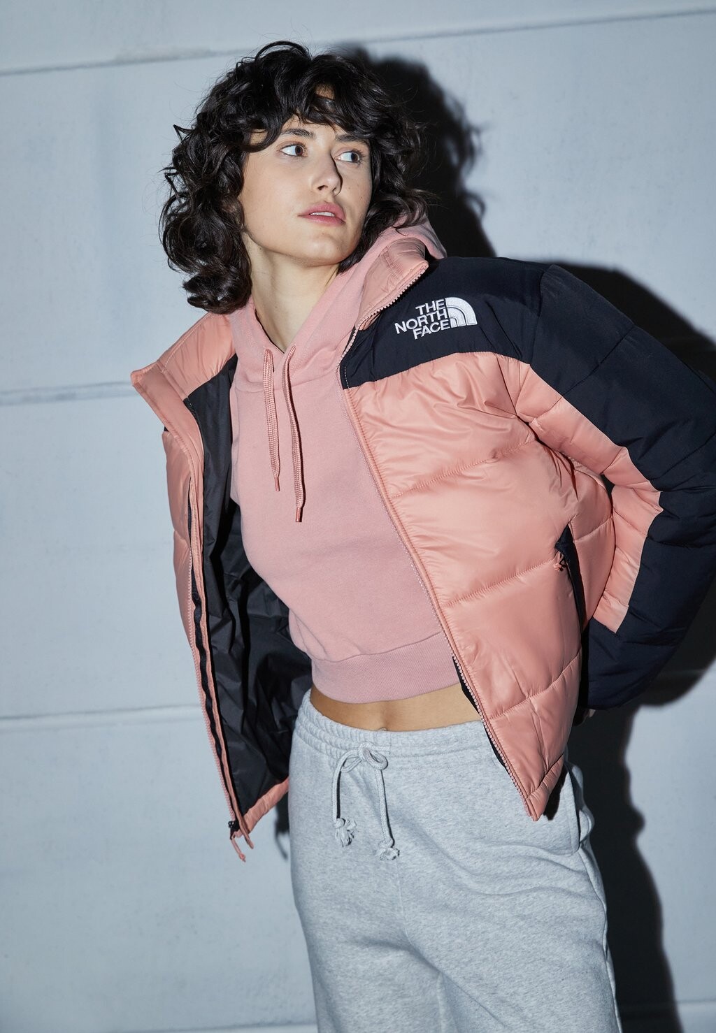 

Зимняя куртка The North Face