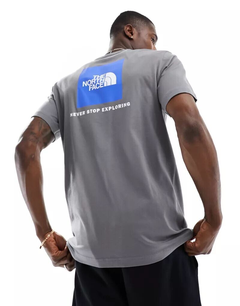 

Серая футболка с принтом на спине The North Face Redbox