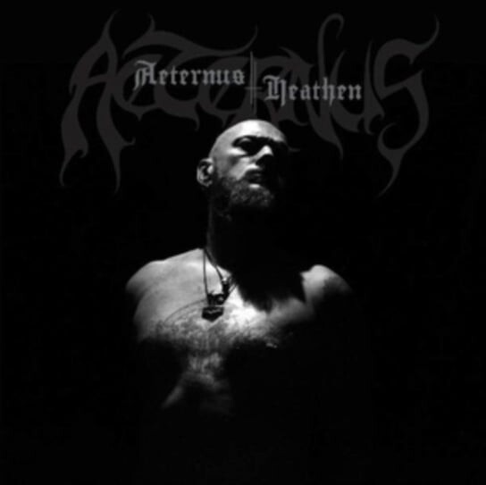 

Виниловая пластинка Aeternus - Heathen