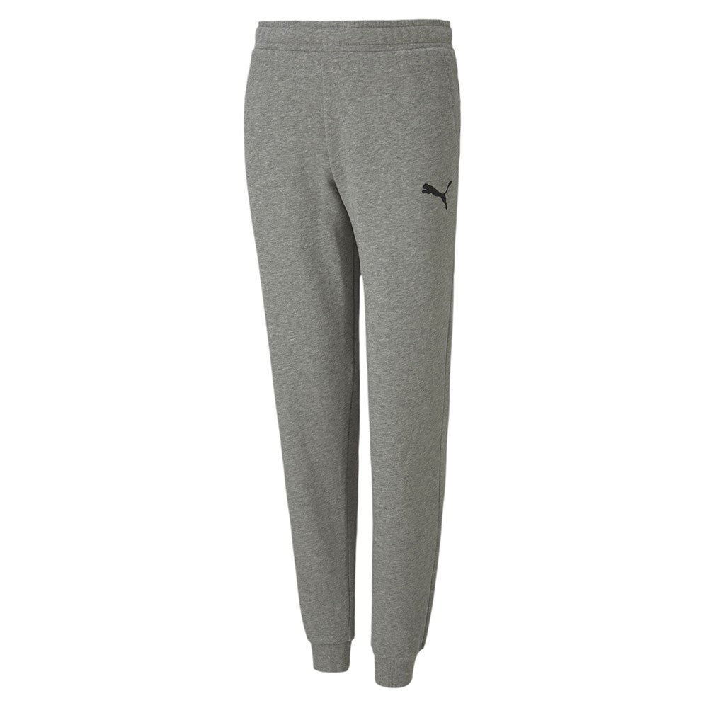 

Брюки Puma Teamgoal 23 Casuals, серый