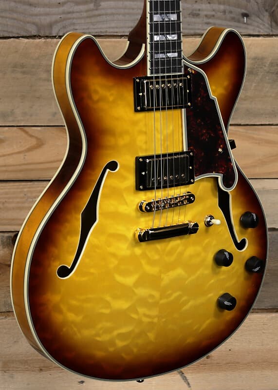 

Электрогитара D'Angelico Excel DC XT Hollowbody Guitar Iced Tea Burst w/ Case