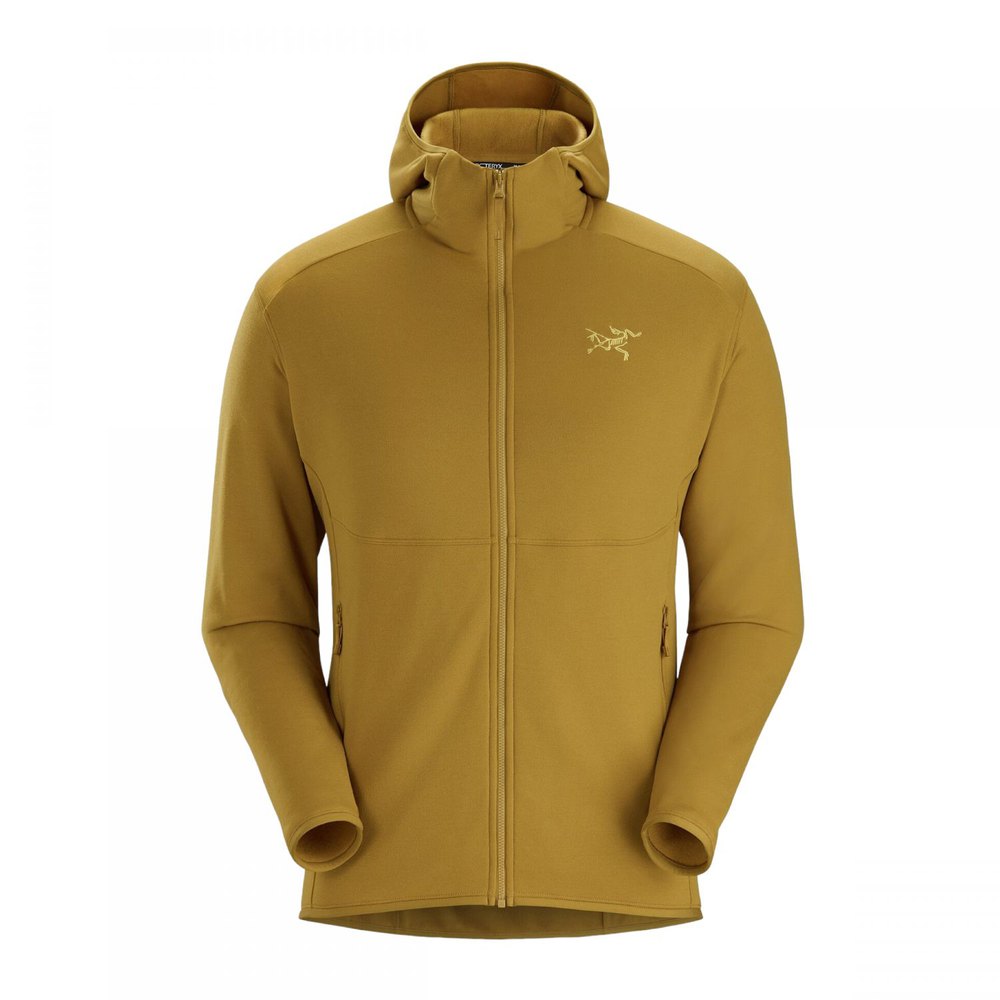 Худи arcteryx