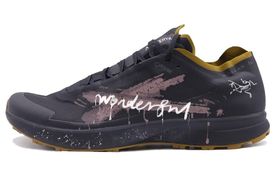 

Кроссовки мужские Arcteryx Norvan SL Low-top, розовый