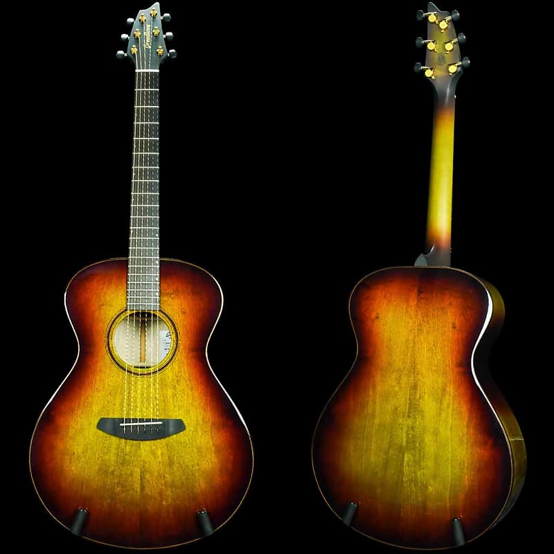 Акустическая гитара Breedlove Oregon Concert Earthsong Limited Edition Acoustic Guitar