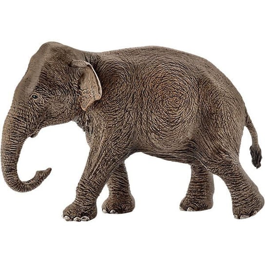 Schleich, статуэтка Азиатский слон фигурка schleich кентрозавр 14583