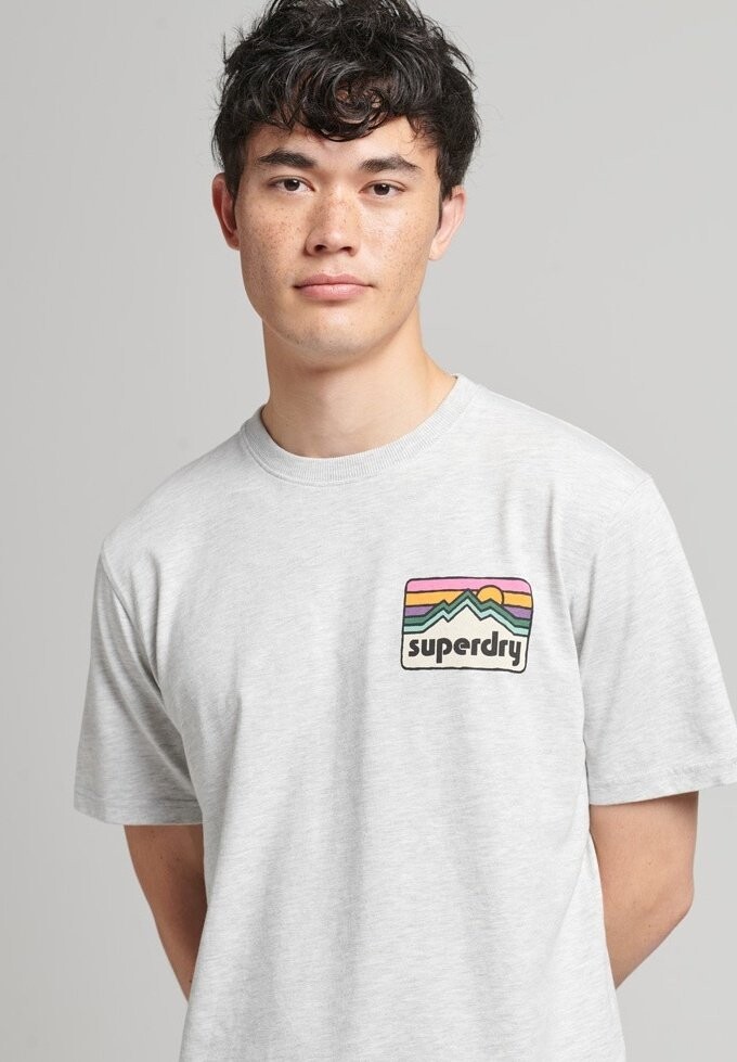 

Футболка с принтом Superdry, светло-серый