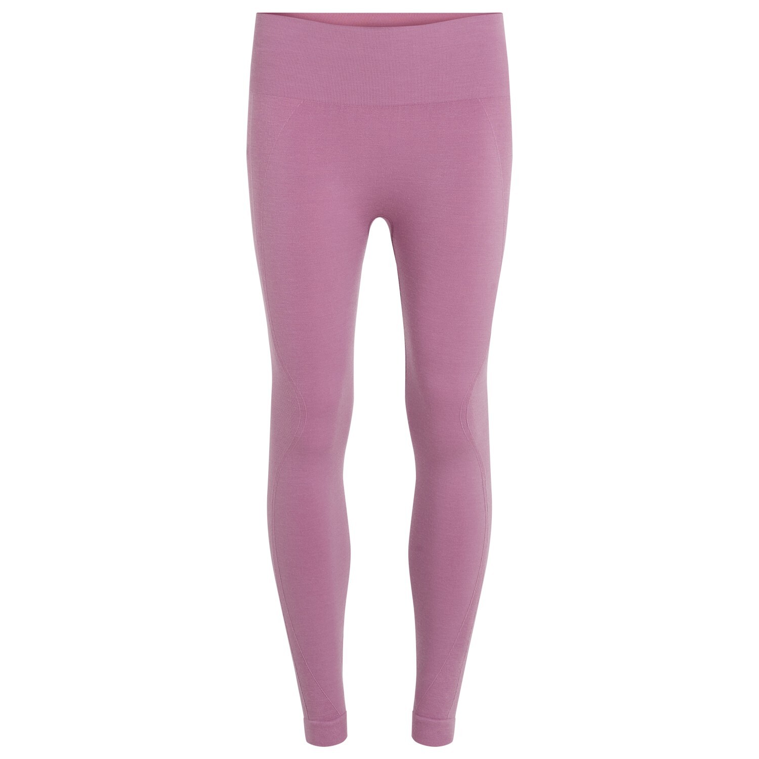 

Леггинсы Icebreaker Merino Seamless Active 25 Tights, цвет Deco