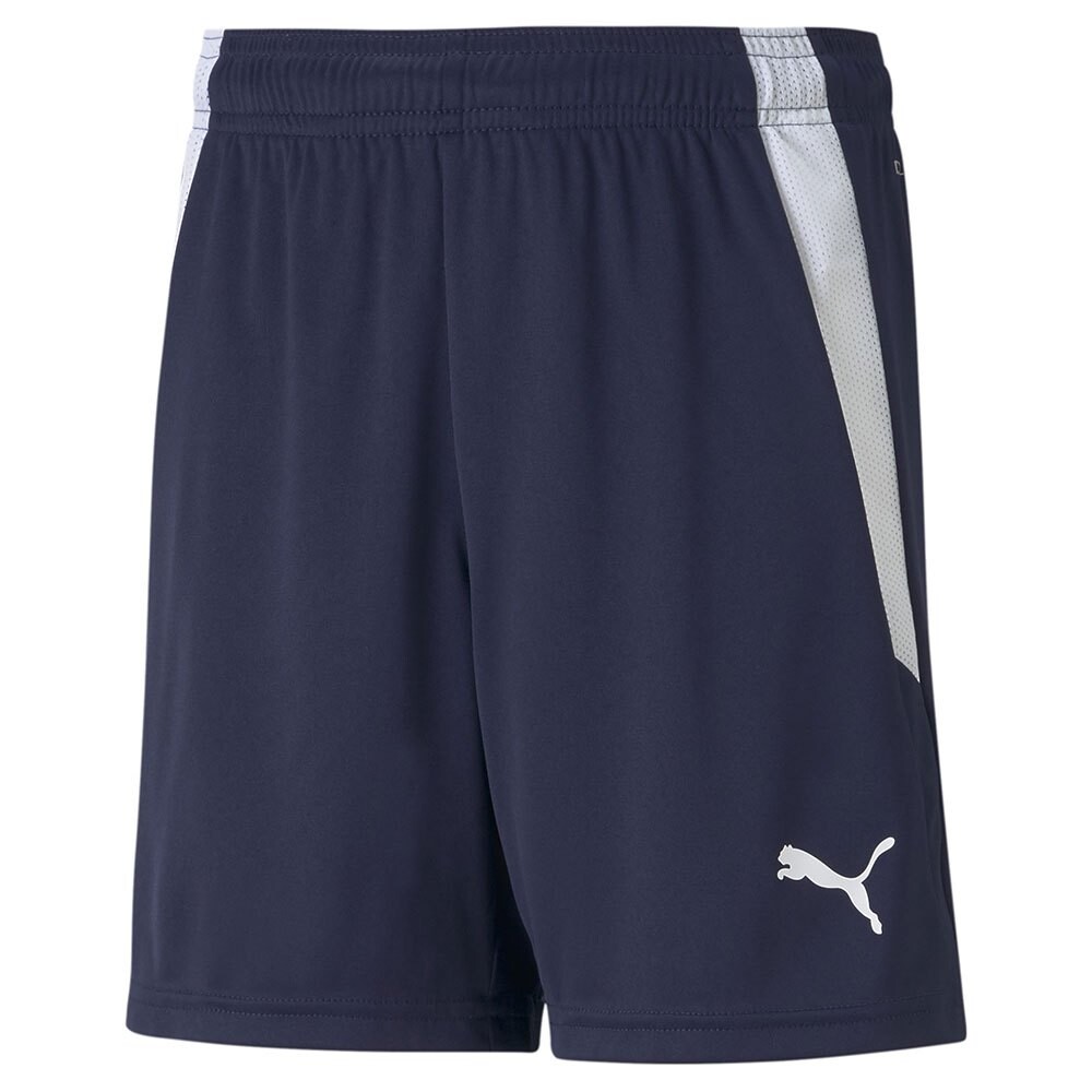 

Шорты Puma TeamLiga, синий