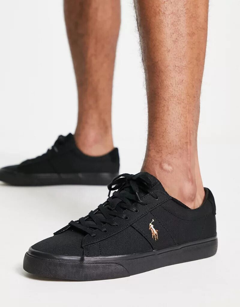 

Черные кроссовки с логотипом Polo Ralph Lauren Sayer, Черный