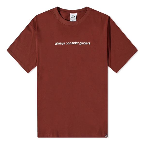 Футболка Nike ACG NRG Glacier T-Shirt 'Oxen Brown', коричневый