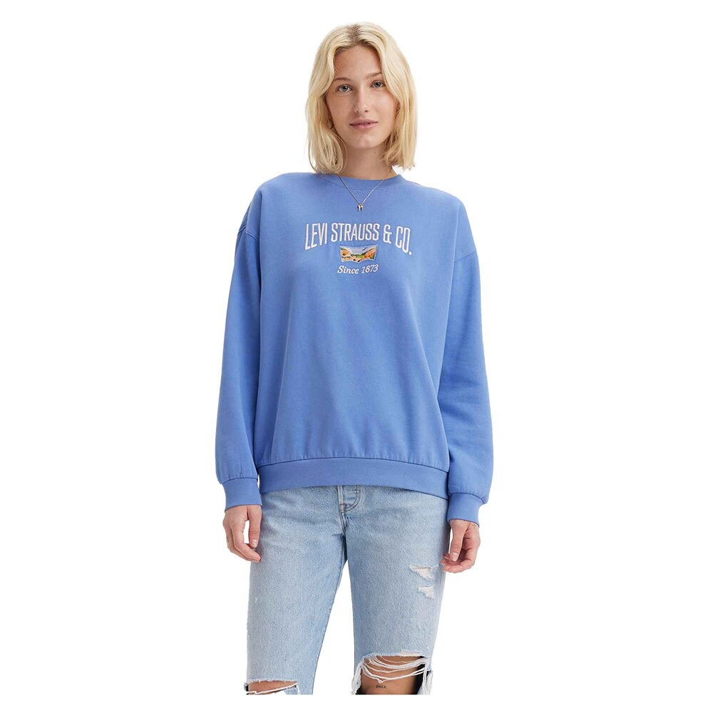 

Толстовка Levi's Graphic Salinas, синий