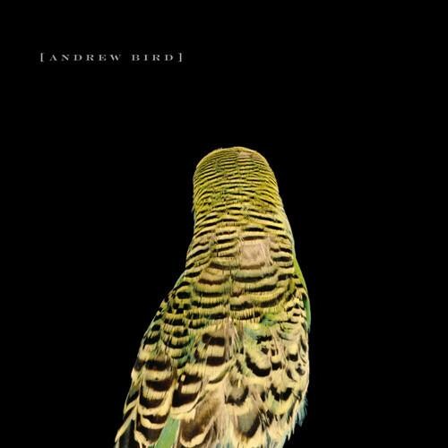 

Виниловая пластинка Bird, Andrew - Armchair Apocrypha