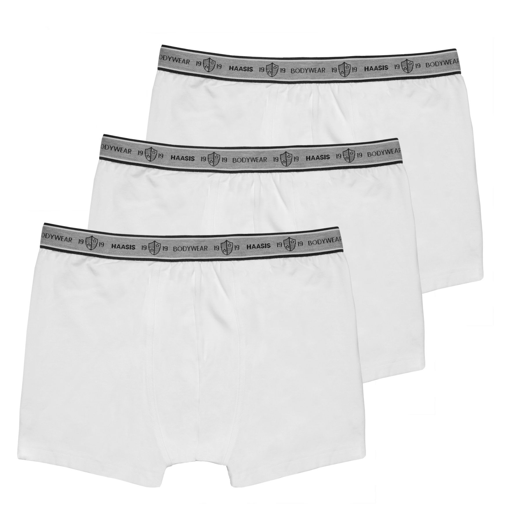 Боксеры Haasis Bodywear 3er-Set: Pants, белый цена и фото