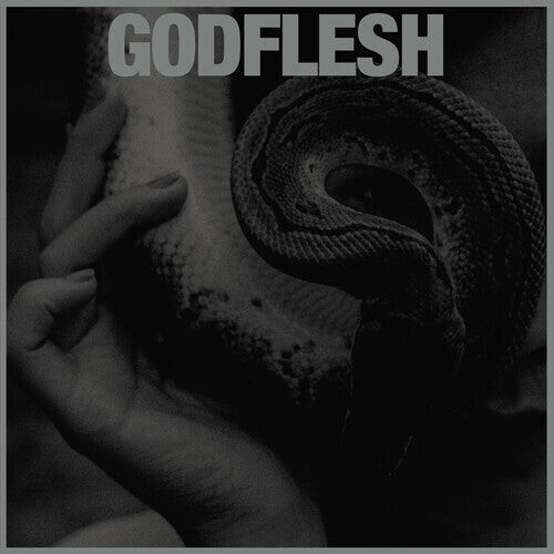 

Виниловая пластинка Godflesh - Purge