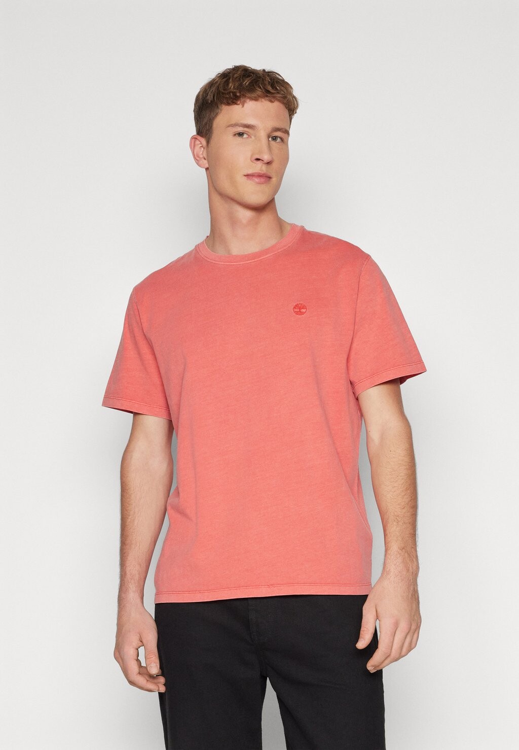 

Базовая футболка DUNSTAN SHORT SLEEVE TEE Timberland, цвет burnt sienna