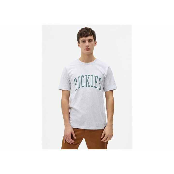 

Футболка Dickies T-Shirt Aitkin, серый