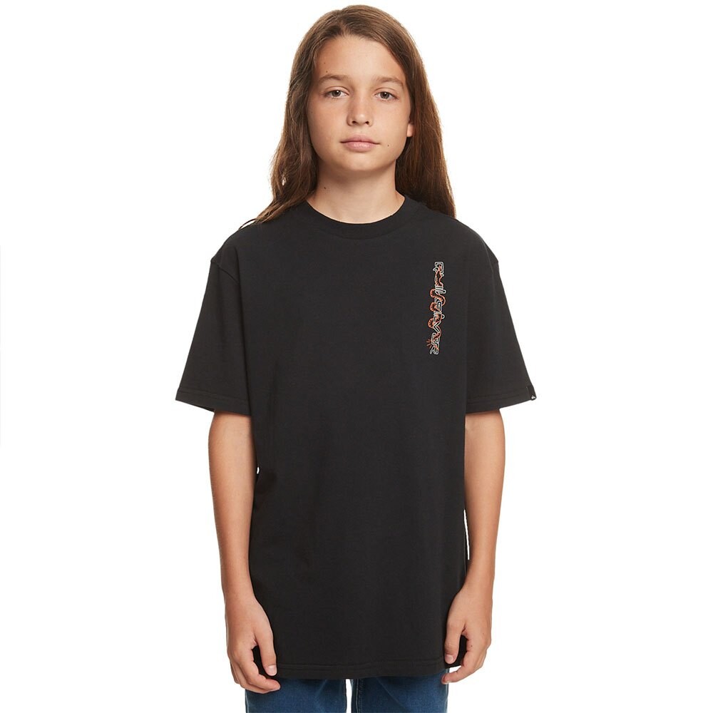 

Футболка Quiksilver Omni Serpent, черный