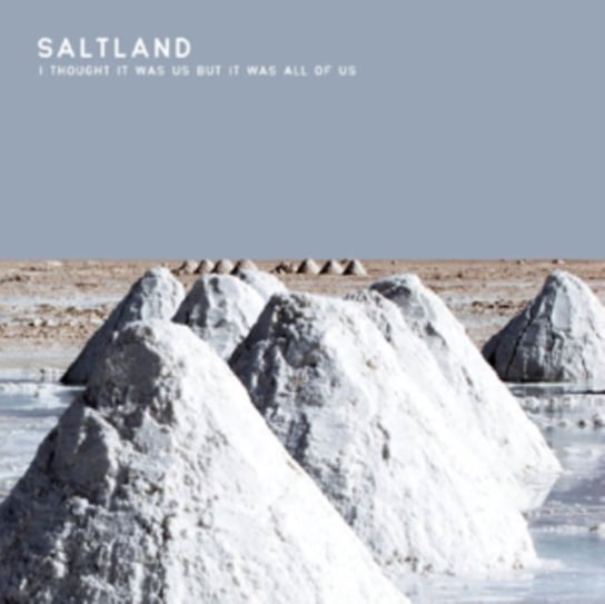 Виниловая пластинка Saltland - I Thought It Was Us But It Was All of Us brown b i thought it was just me but it isn t